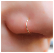 Tiny Nose Ring Hoop
