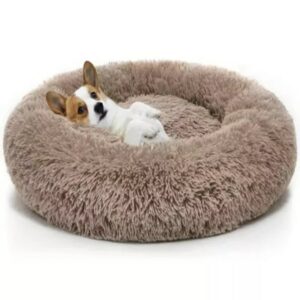 donut-bed-trends
