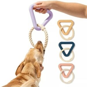 pet-trendy-products